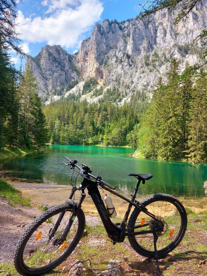 Auszeit Steiraland 3 Mit Ueberdachter Terasse Privatem Garten Und Gratis Parkplatz Леобен Экстерьер фото